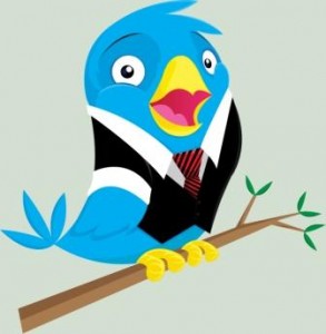 8 Consejos para Optimizar el Perfil de tu PyME en Twitter